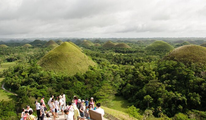 Bohol Chocolate Hills & Tarsiers with roundtrip ferry from Cebu - Quick hits: why this Bohol day trip works