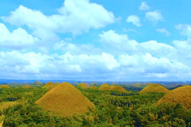 Bohol Countryside Day Tour from Cebu City or Mactan - Best Seller - Getting to Bohol: the air-conditioned ferry day plan from Cebu