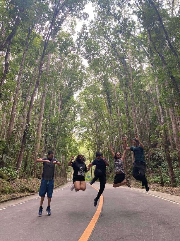 Bohol Countryside Private Tour From Cebu City | Private Tour - Tarsier Conservation Area: Small Animal, Big Personality