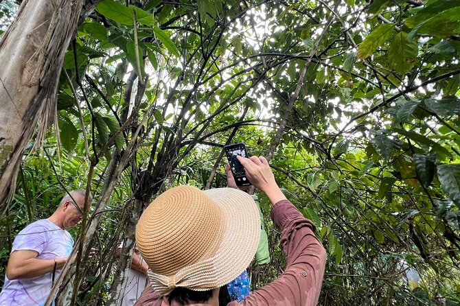 Bohol Day Tour with Round-Trip Transfers from Cebu - So what else is in the route besides the three big hits?