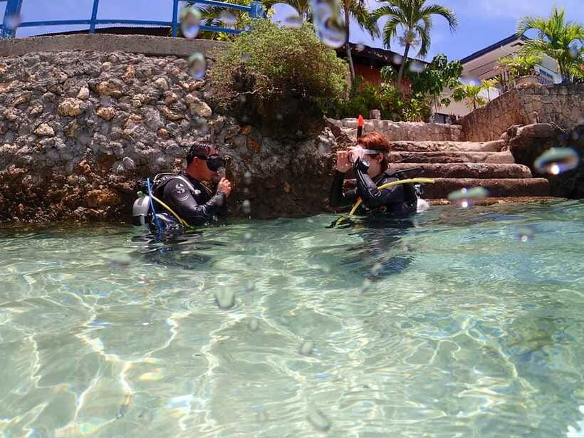 Cebu: Beach Scuba Diving Experience - Price and logistics: what $47 really buys you