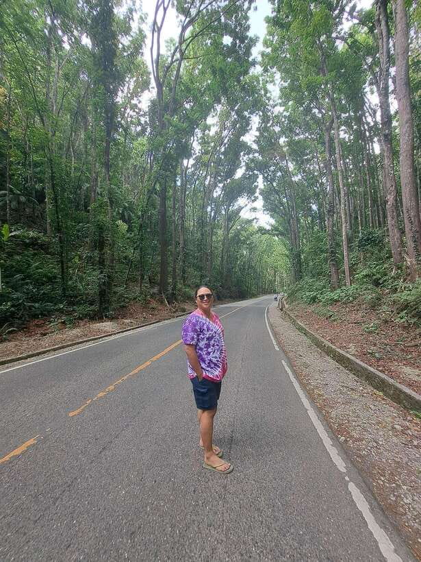 Cebu City: Bohol Countryside Tour with Loboc Cruise Lunch - Man-Made Mahogany Forest and Chocolate Hills: Photo Time With Real Constraints