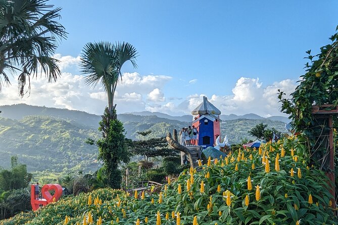 Cebu City with Sirao Garden Half Day Tour - Guides do the heavy lifting (and it can affect your photos)