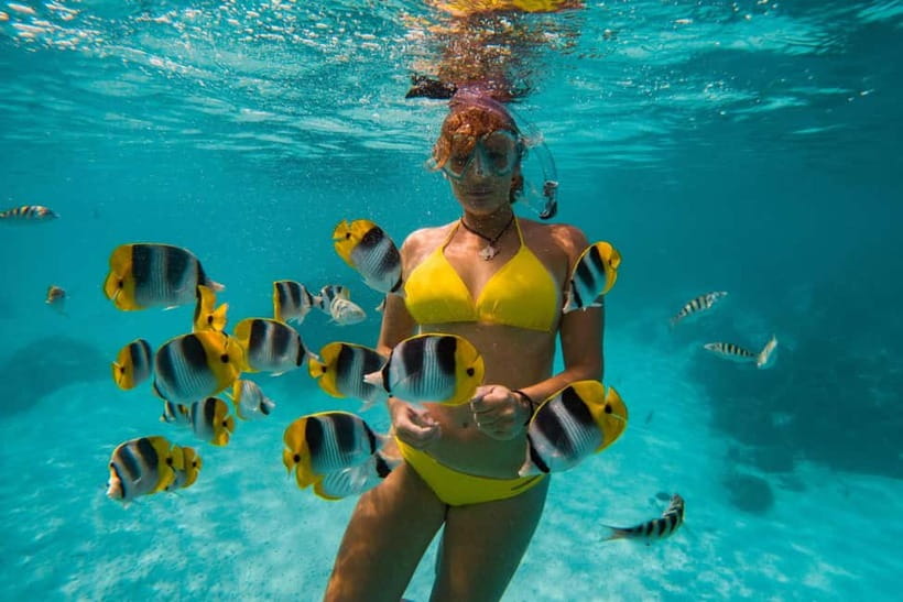 Cebu: Island Hopping 3 Islands + San Vicente Fish + Lunch - Gilutungan Island: snorkel the reserve, not the shoreline