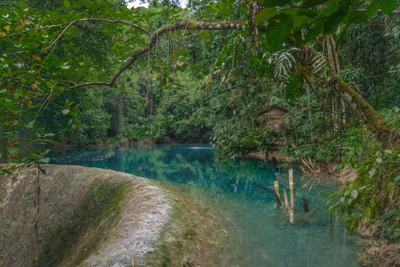Cebu: Kawasan Falls Canyoneering & Cliff Jump Private Tour - Who this is best for (and who should skip it)