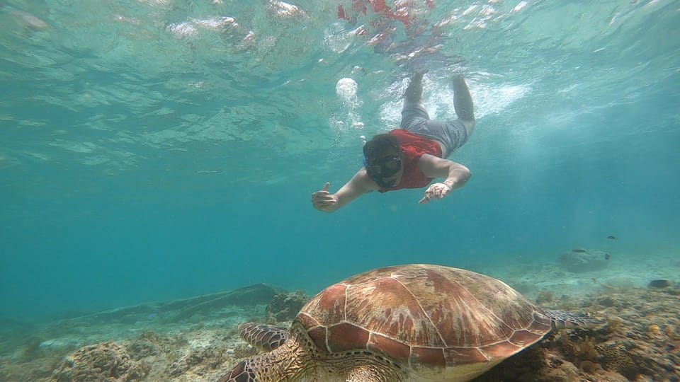 Cebu: Moalboal Island Hopping and Mantayupan Falls Day Trip - Who This Tour Fits Best (and Who Should Skip It)