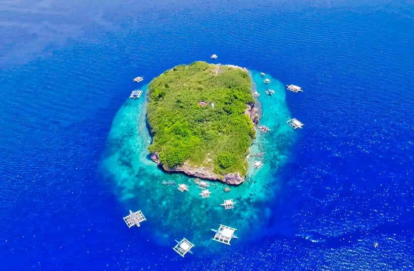 Cebu: Moalboal Sardines and Turtles Snorkeling Tour - Pescador Island Snorkeling: The Sardine Run Moment You Came For