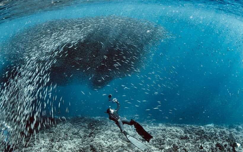 Cebu: Moalboal Sardines & Turtle Snorkeling and Canyoneering - Key things I’d bank on before you go