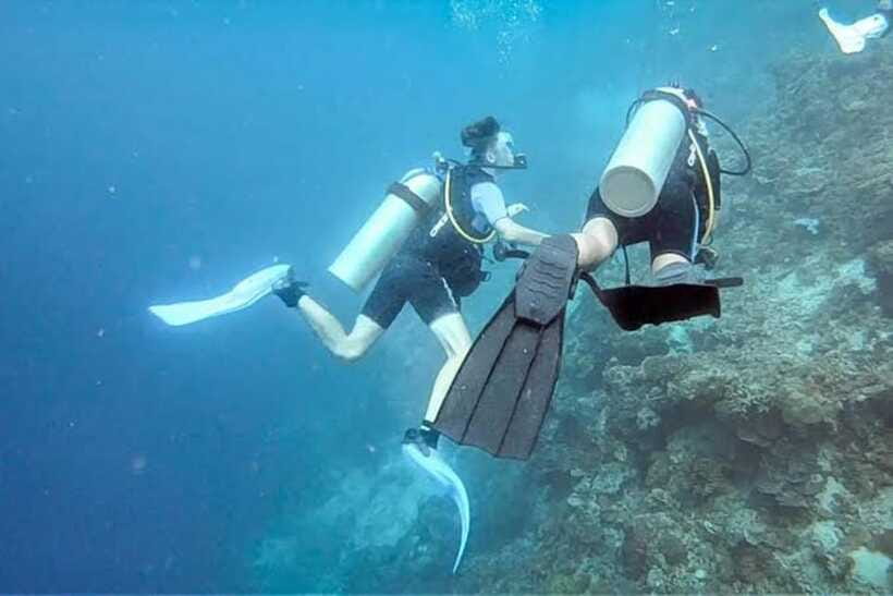 Cebu: Moalboal Scuba Diving, Sardines Run & Pescador Snorkel - FAQ