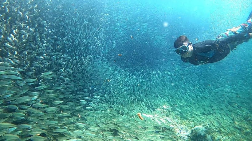 Cebu: Moalboal Snorkeling, Mantayupan Falls & ATV Adventure - Barili ATV adventure: muddy tracks, beginner-friendly fun