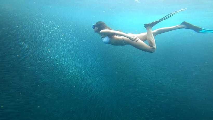Cebu: Moalboal Snorkeling, Mantayupan Falls & ATV Adventure - What you’re really paying for (and whether it’s worth it)