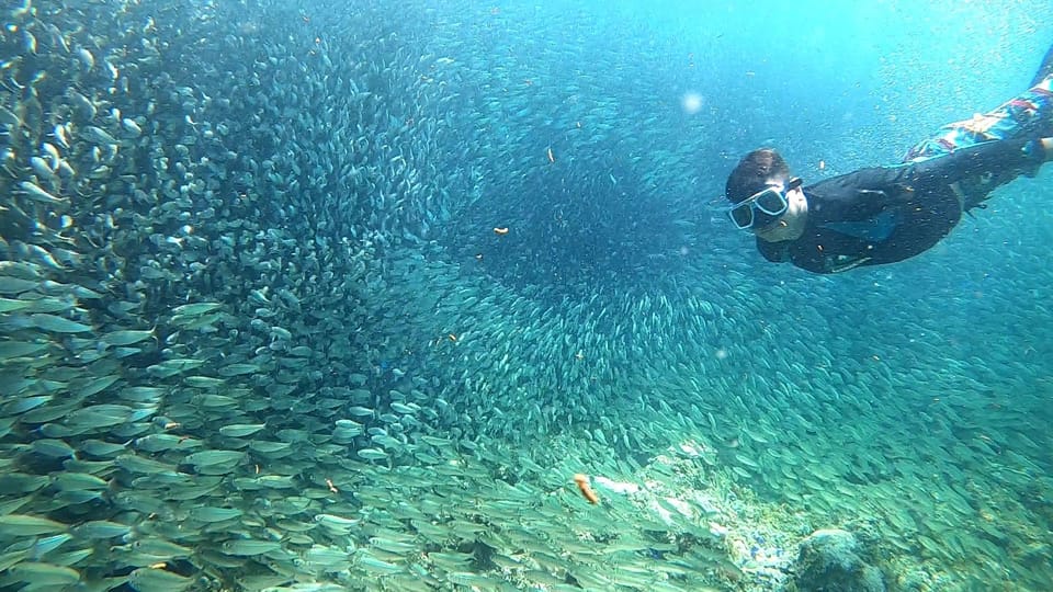 Cebu: Moalboal Snorkeling, Mantayupan Falls & ATV Adventure - Who this tour fits best (and who should reconsider)