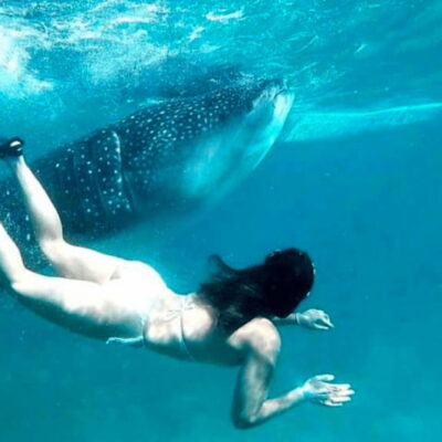 Cebu: Oslob Whale Shark, Sumilon, Ruins, Simala Church - Sumilon Island Sandbar: where the day slows down