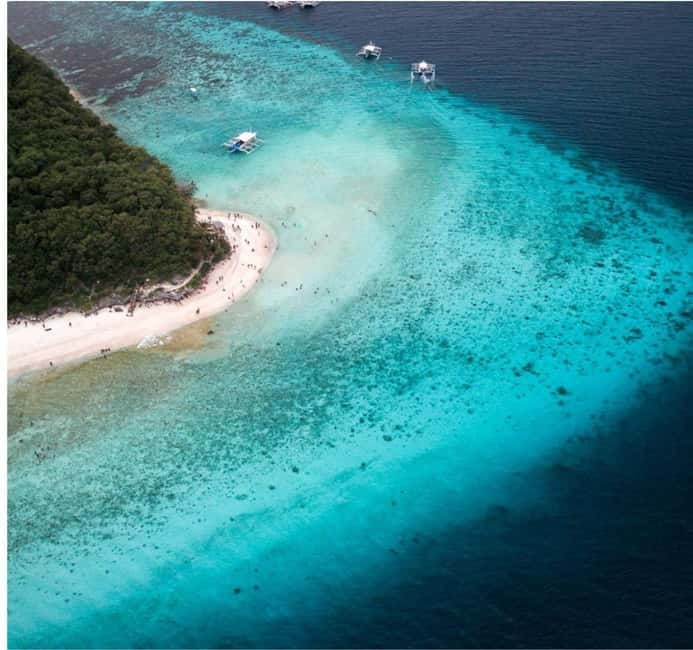 Cebu: Oslob Whale Shark Swim and Sumilon Island Day Tour - Sumilon Island Sandbar and Beach Time: Photos, Sun, and a Real Reset