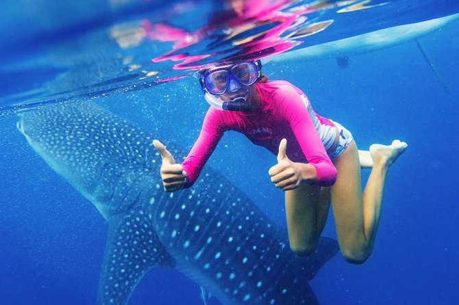 Cebu: Oslob Whale Shark Swimming and Kawasan Falls Canyoneering - The 3:00 AM Start: Early Pickup Without the Romance