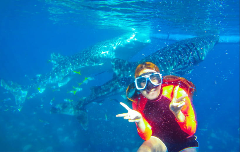Cebu: Oslob Whale Shark Swimming and Tumalog Falls Tour - Add-Ons: Sardine Snorkeling and Kawasan Canyoneering