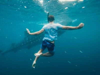 Cebu Oslob Whale Shark Swimming & Kawasan Falls Canyoneering - Getting from Your Hotel to Oslob: early timing and long transfers