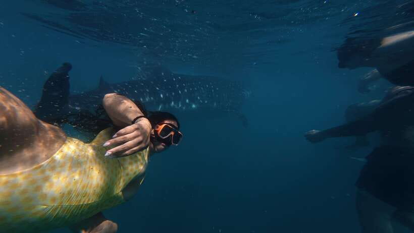 Cebu Oslob Whale Shark Swimming & Kawasan Falls Canyoneering - Kawasan Falls canyoneering: gear, pace, and what to expect in the water