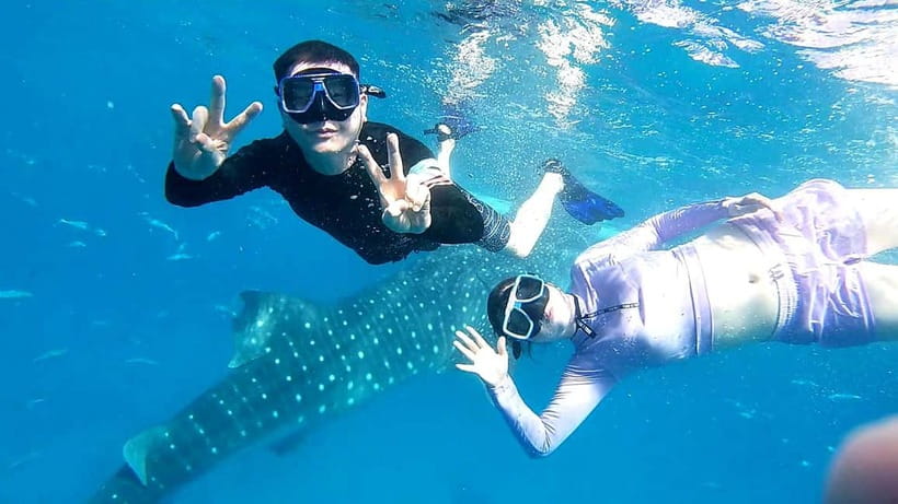 Cebu Oslob: Whale Shark Watching Experience - Snorkeling With Whale Sharks: What the Water Time Feels Like