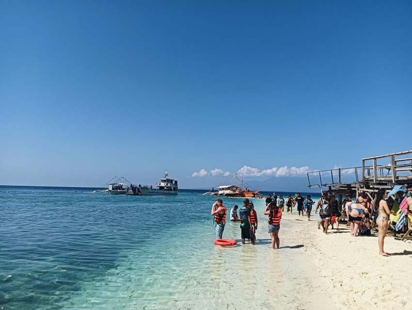 Cebu: Oslob Whale Sharks, Tumalog Falls & Sardine Snorkeling - What’s included (and what you should bring) to make the day easier