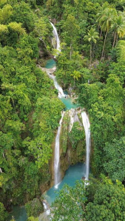 Cebu Oslob Whaleshark, Moalboal Sardines Run&Inambakan Falls - Early Oslob and weather-first timing: the real reason you’ll leave early