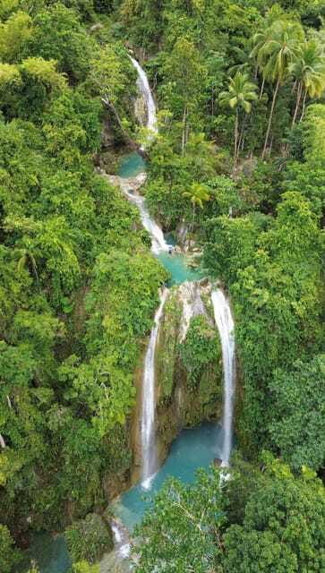 Cebu Oslob Whaleshark, Moalboal Sardines Run&Inambakan Falls - Price and value of about $108 per person