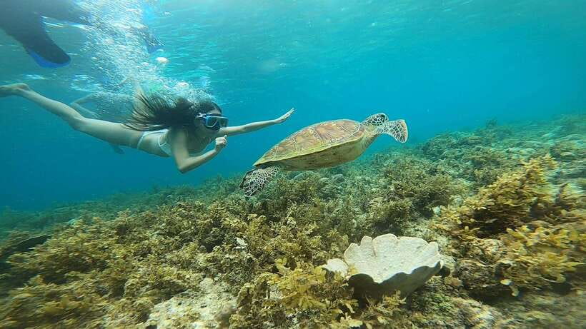 Cebu: Osmeña Peak hike and Sardines Run Snorkel adventure - What to bring (and what to skip) for comfort