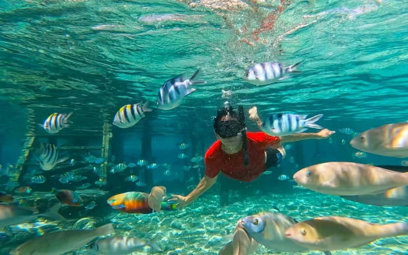 Cebu: Private Mactan Island Hopping Tour with Lunch - Private Mactan Island Hopping: Why This Route Works