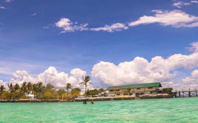 Cebu: Private Mactan Island Hopping Tour with Lunch - Getting From Cebu to the Boat: Less Stress, More Sun