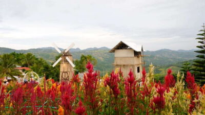 Cebu: Private Panoramic Tour with Dinner - The Comfort Factor: Private Pickup and an Air-Conditioned Ride