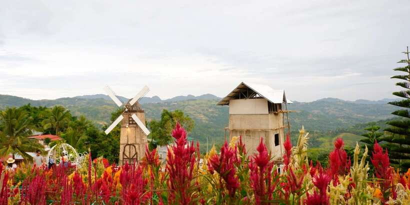 Cebu: Private Panoramic Tour with Dinner - Timing the Drive: How You Get Upslope Views Without Burning Your Day