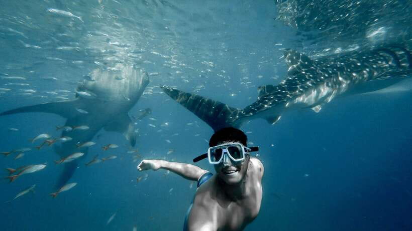 Cebu: Private Sumilon Island & Optional Whale Shark Swim - Sumilon Island feels different once you’re there