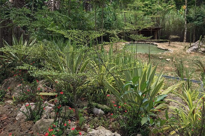 Cebu Safari and Adventure Park - What to bring and how to keep the day comfortable