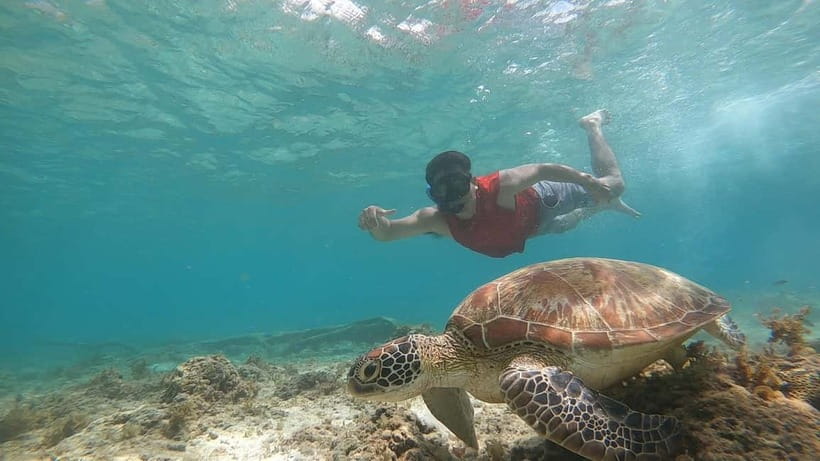 Cebu: Sardine Run Snorkeling, Mantayupan Falls & ATV Thrills - Money, what’s included, and what might cost extra