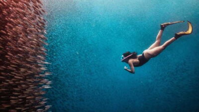 Cebu: Sardine & Turtle Snorkelling Run & Mantayupan Falls - Panagsama Beach and the Moalboal sardine run: why the timing matters