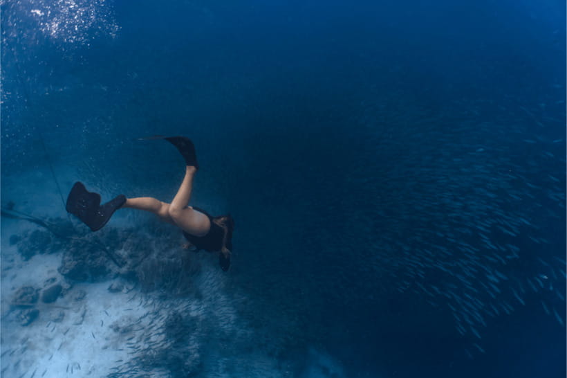 Cebu: Sardine & Turtle Snorkelling Run & Mantayupan Falls - Price and value: is $121 a fair deal?