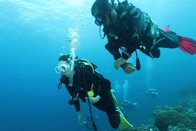 Cebu: Scuba Diving Experience beach entry in Mactan - Beach Entry Off Mactan: Why It Changes Everything