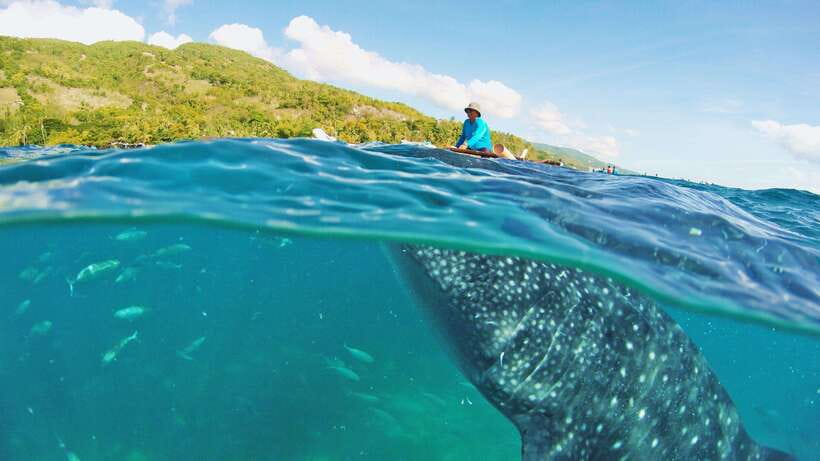 Cebu: Whale Shark Encounter and Kawasan Canyoneering - The Canlaob River canyoneering run: jumps, swimming, and gear that helps