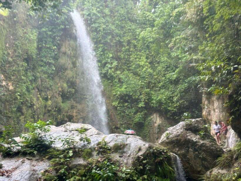 Cebu: Whale Shark, Inambakan Falls & Moalboal Sardine Tour - Oslob Whale Sharks: The Part You’ll Remember