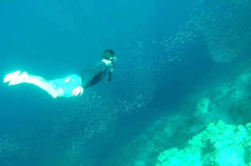Cebu: Whale Shark, Inambakan Falls & Moalboal Sardine Tour - Small Practical Moves That Improve Your Experience