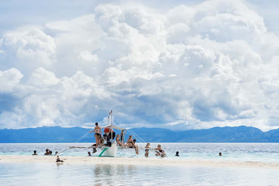 Cebu: Whale Shark, Monkey Sanctuary, & Moalboal Snorkel Tour - Moalboal Sardine Run and Sea Turtle Snorkel at Panagsama Beach