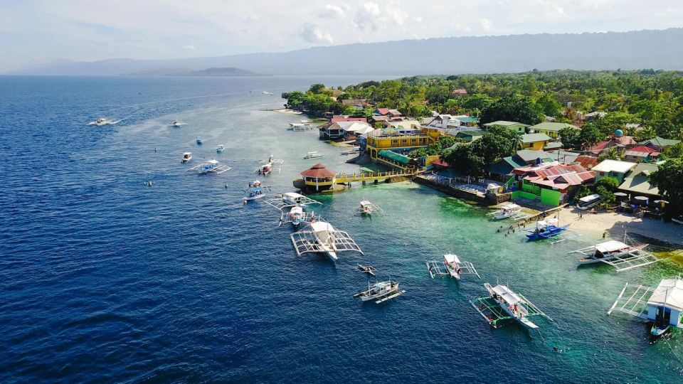 Cebu: Whale Shark, Monkey Sanctuary, & Moalboal Snorkel Tour - Snorkeling Reality: Gear, Crowds, and Comfort Tips