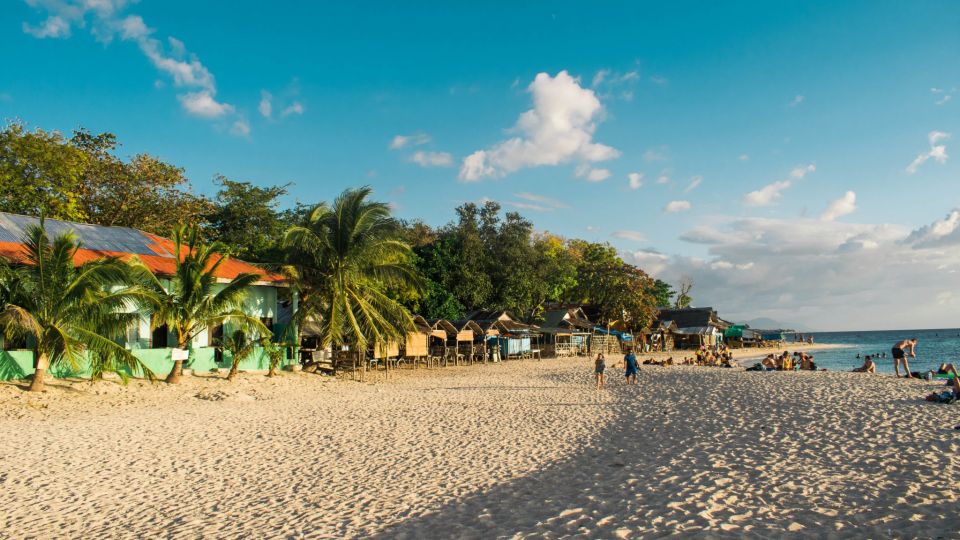 Cebu: Whale Shark, Monkey Sanctuary, & Moalboal Turtles Tour - Oslob Monkey Sanctuary: short visit, big personality energy