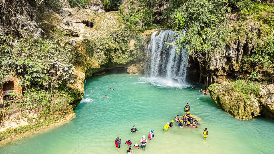 Cebu: Whale Shark Snorkeling & Kawasan Canyoning Tour - Kawasan Falls canyoning: slides, rock steps, and instructor control