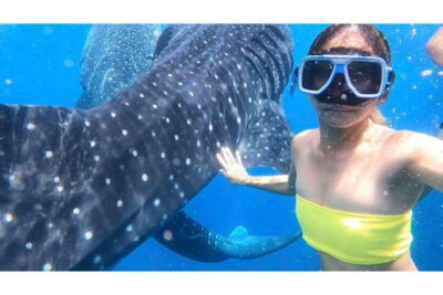 Cebu: Whale Shark Swim and Kawasan Canyoneering Group Tour - Pickup windows, travel time, and how to plan your day