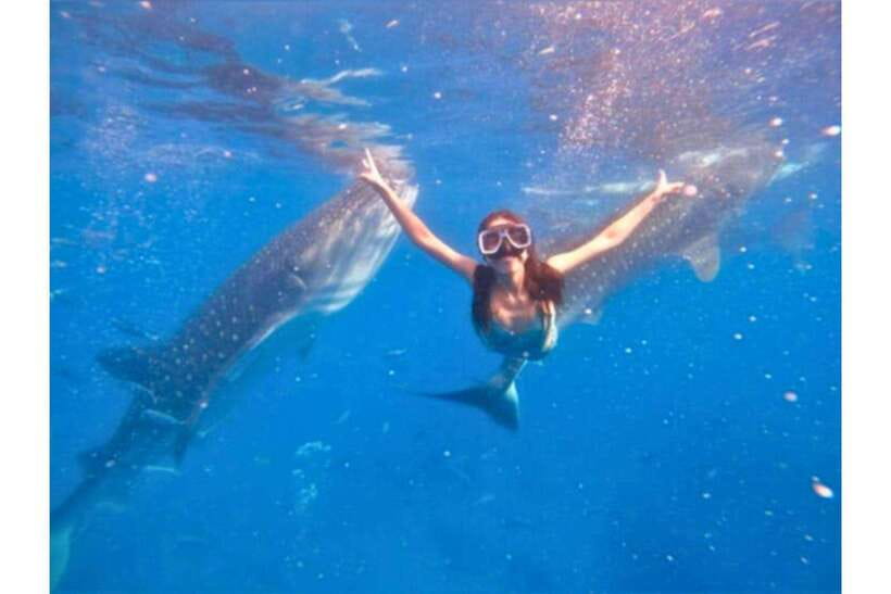 Cebu: Whale Shark Swim and Kawasan Canyoneering Group Tour - That short break matters more than you think