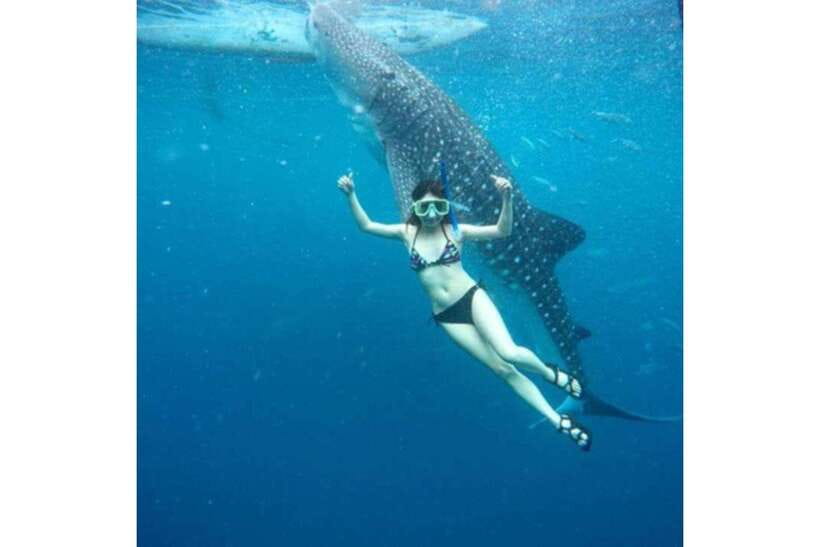 Cebu: Whale Shark Swim and Kawasan Canyoneering Group Tour - The Kawasan Falls swim: your reward at the end of the canyon