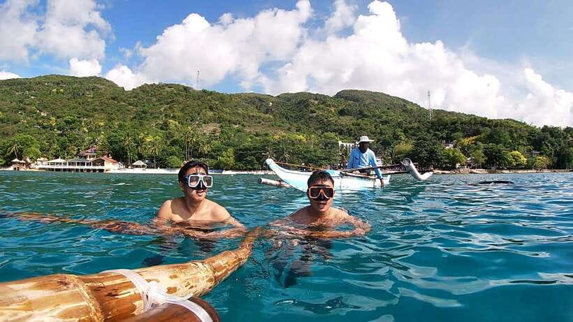 Cebu: Whale Shark Swim, Kawasan Falls & Moalboal Sardine Run - Price and Value: Is $122 a Fair Deal?