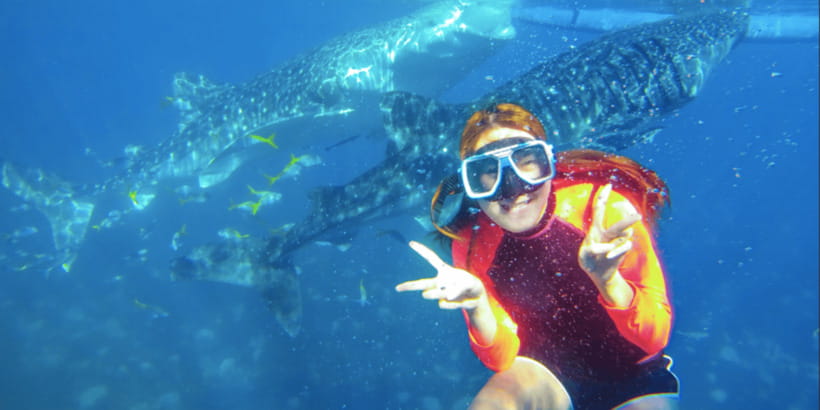 Cebu: Whale Shark Swimming, Sumilon Island and Kawasan Falls - Kawasan Falls in Badian: jungle walk, then cool water