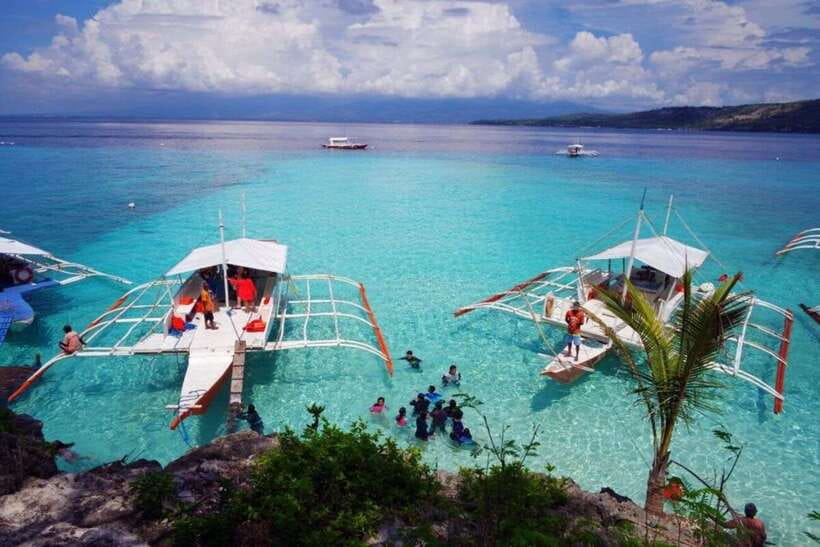 Cebu: Whale Shark Swimming, Sumilon Island and Kawasan Falls - Who should book this tour, and who should skip it